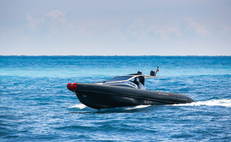 Anvera 55
