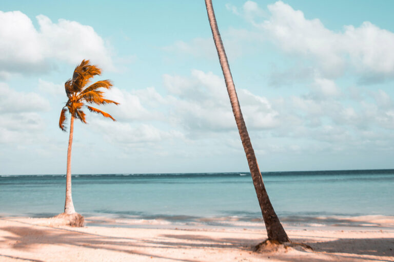 Dominica Yacht Charter